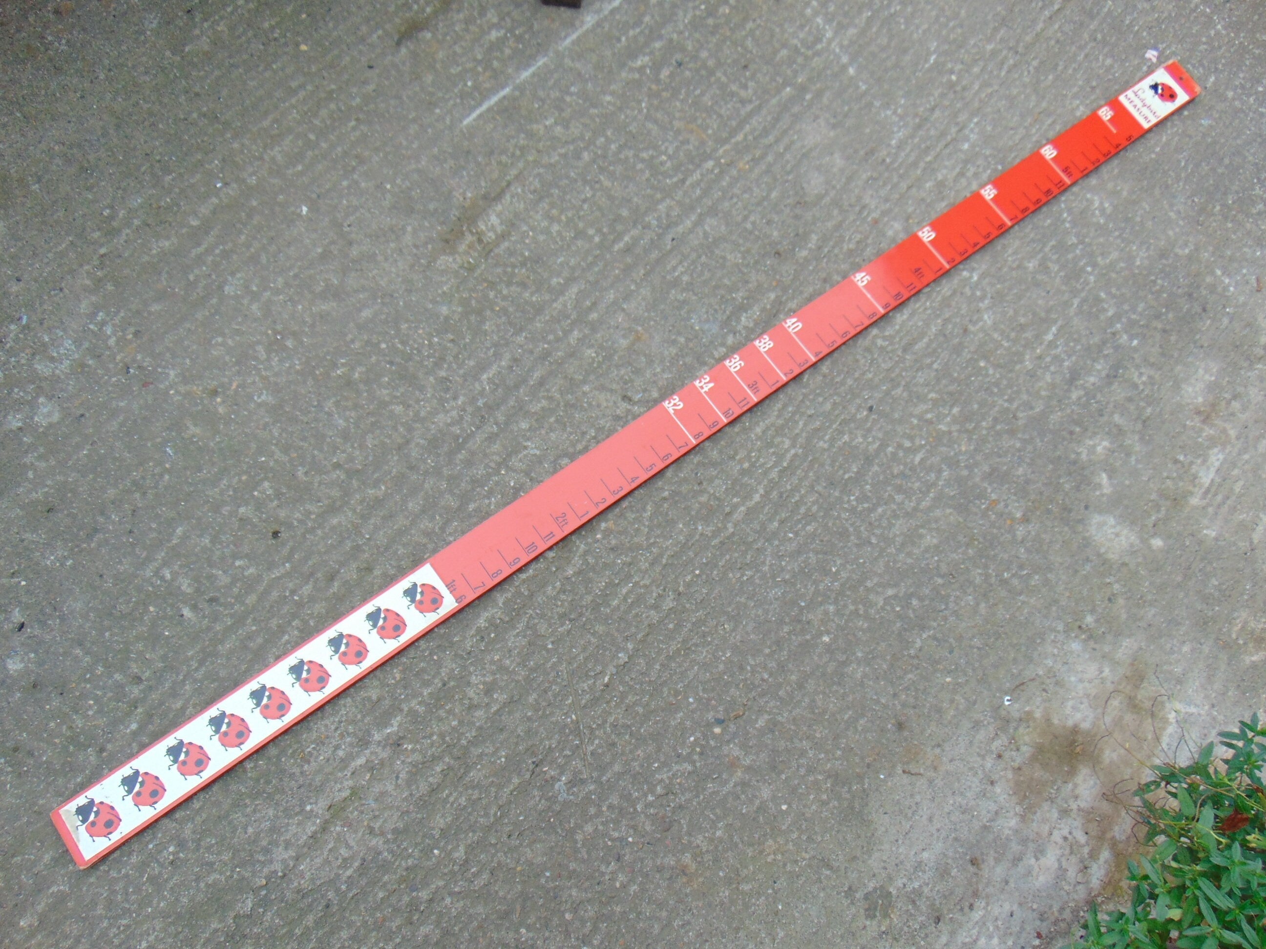 Vintage Ladybird Wooden Height Measure - 72 Inch Children's Clothing Display