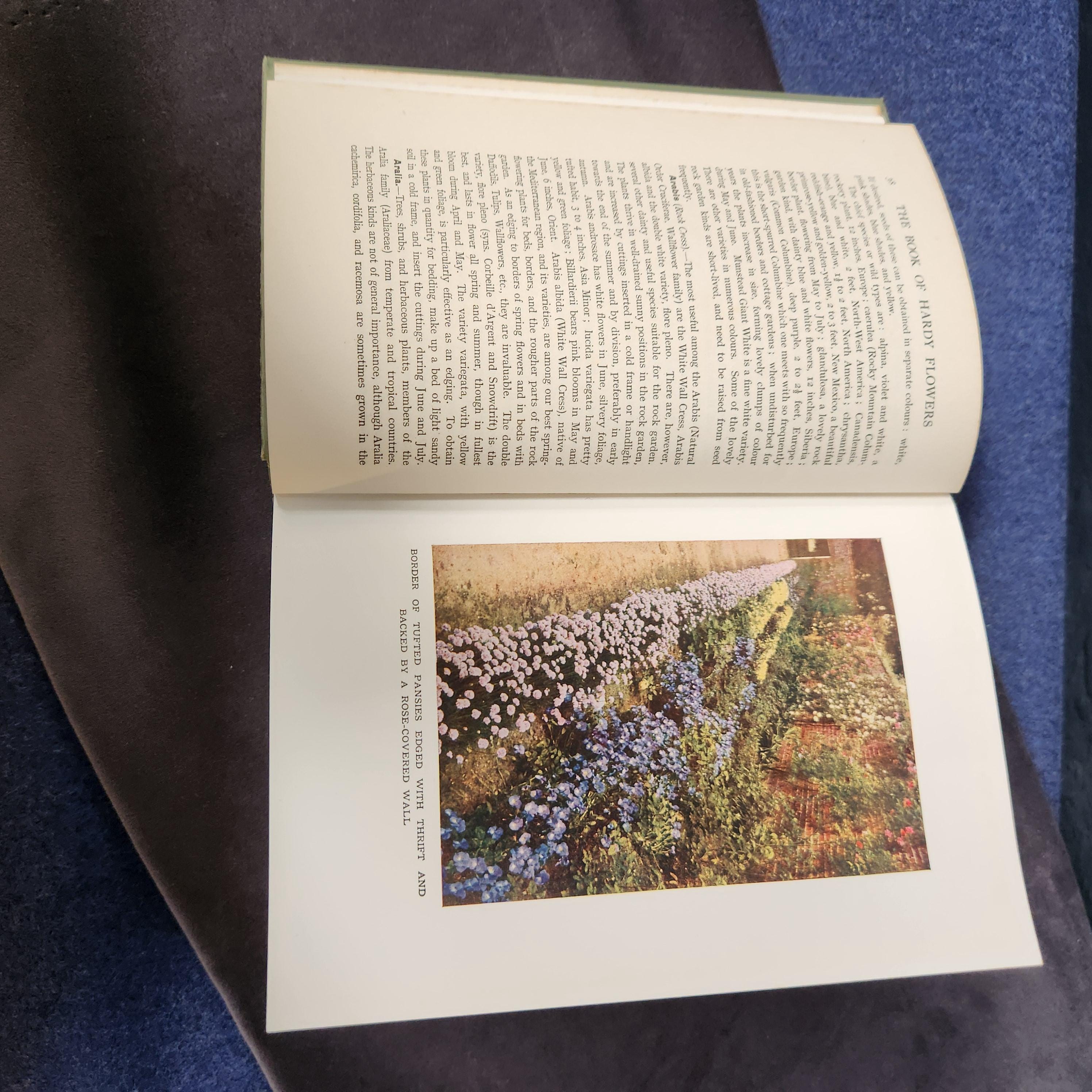 The Book of Hardy Flowers by H.H. Thomas