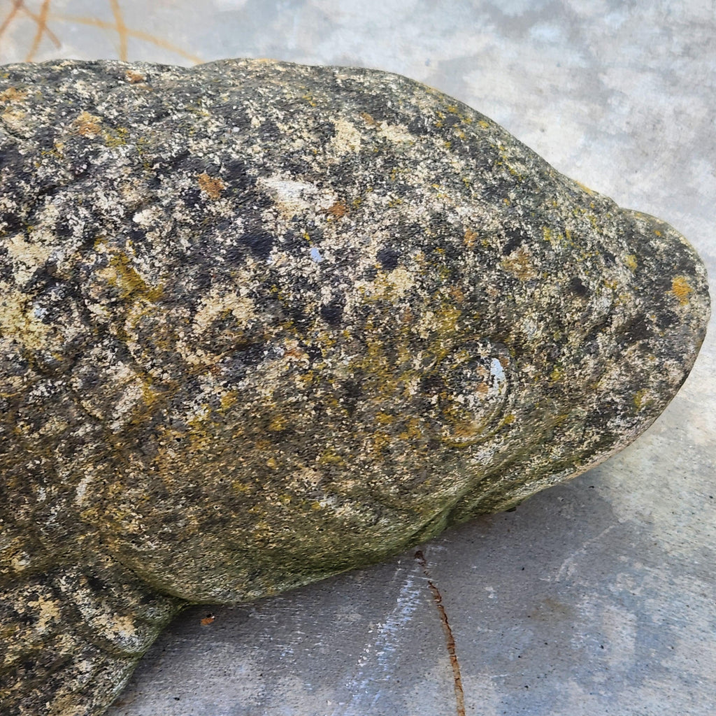 Weathered Koi Carp Water Fountain - Reconstituted Stone