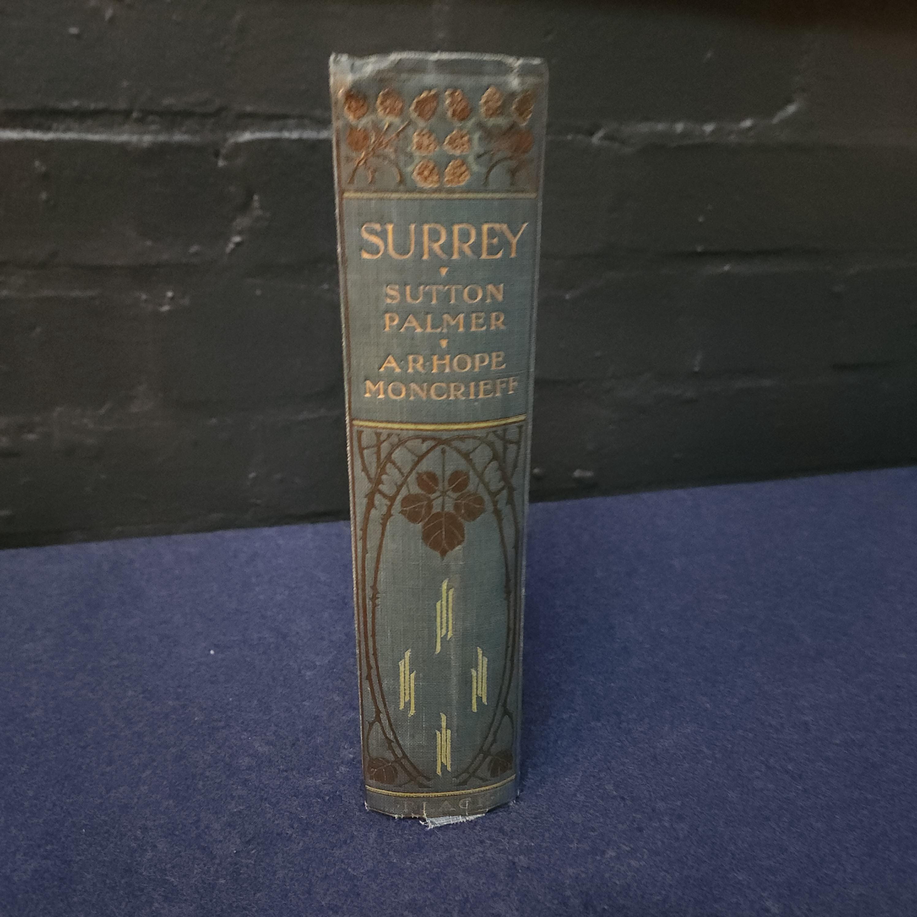 Antique Surrey Travel Book: 1912 A & C Black, Sutton Palmer Illustrations