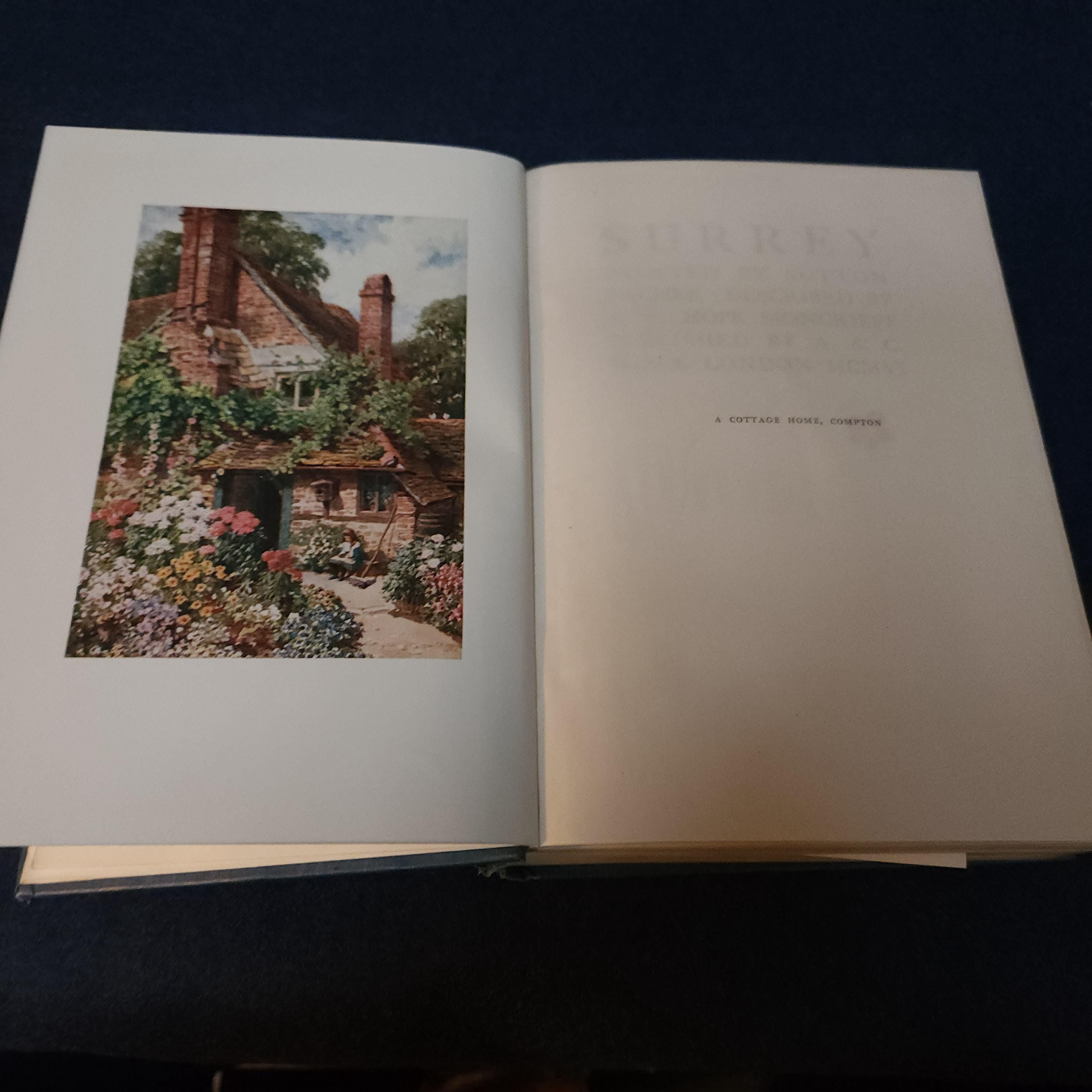 Antique Surrey Travel Book: 1912 A & C Black, Sutton Palmer Illustrations
