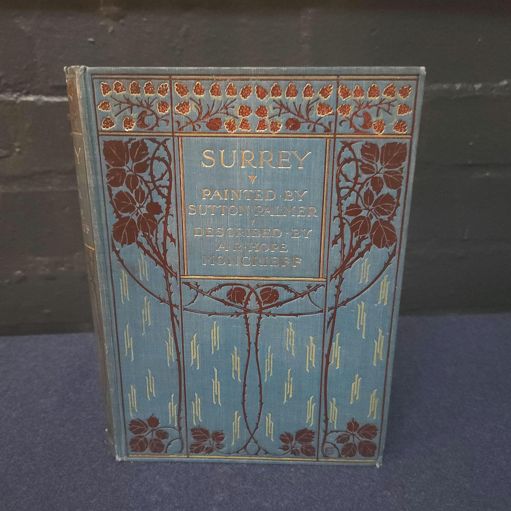 Antique Surrey Travel Book: 1912 A & C Black, Sutton Palmer Illustrations
