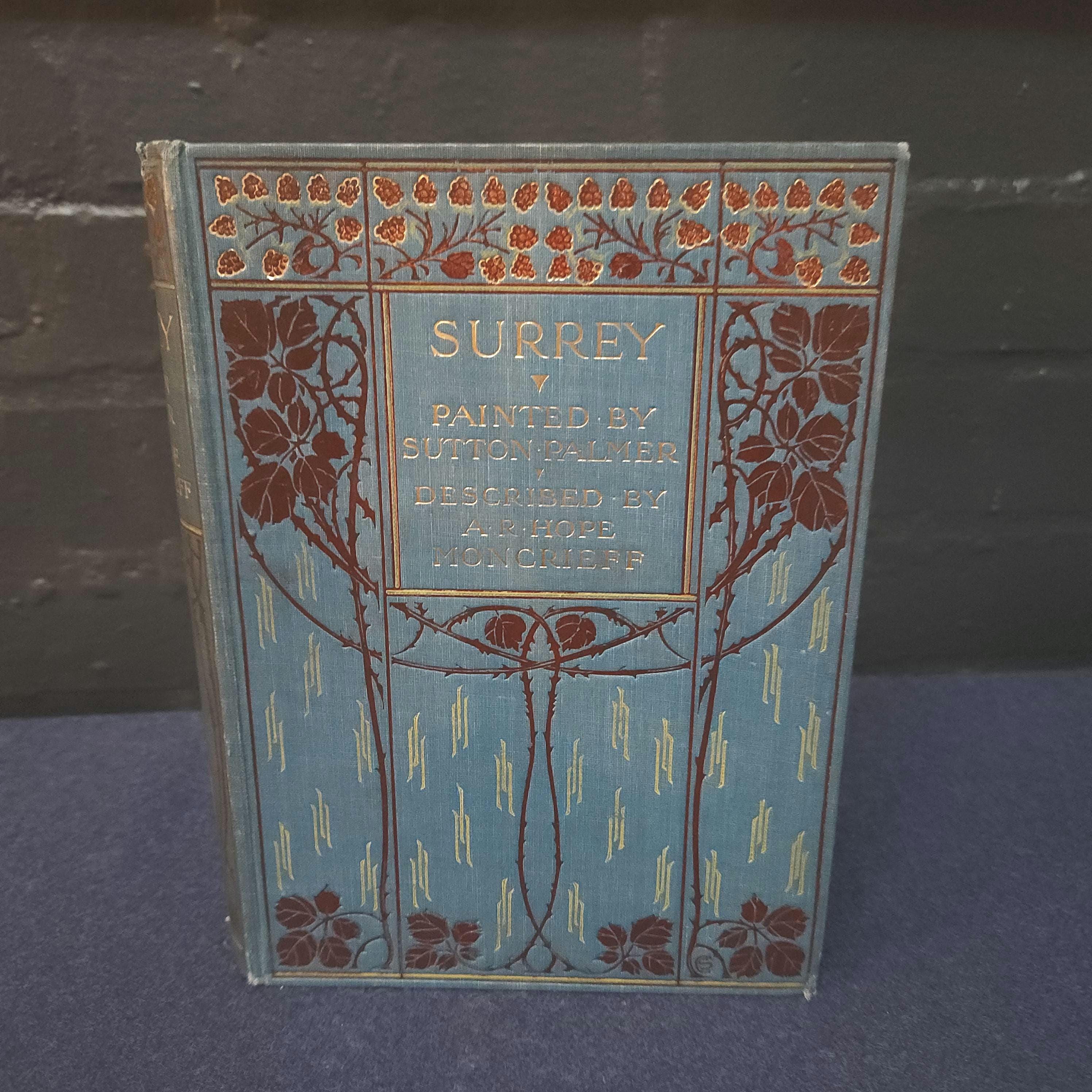 Antique Surrey Travel Book: 1912 A & C Black, Sutton Palmer Illustrations