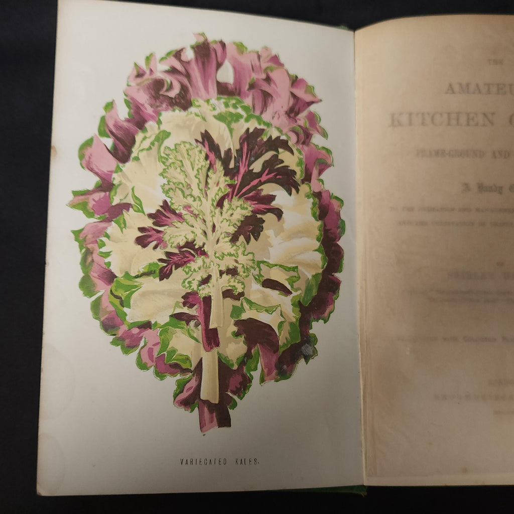 Amateurs Kitchen Garden by Shirley Hibberd