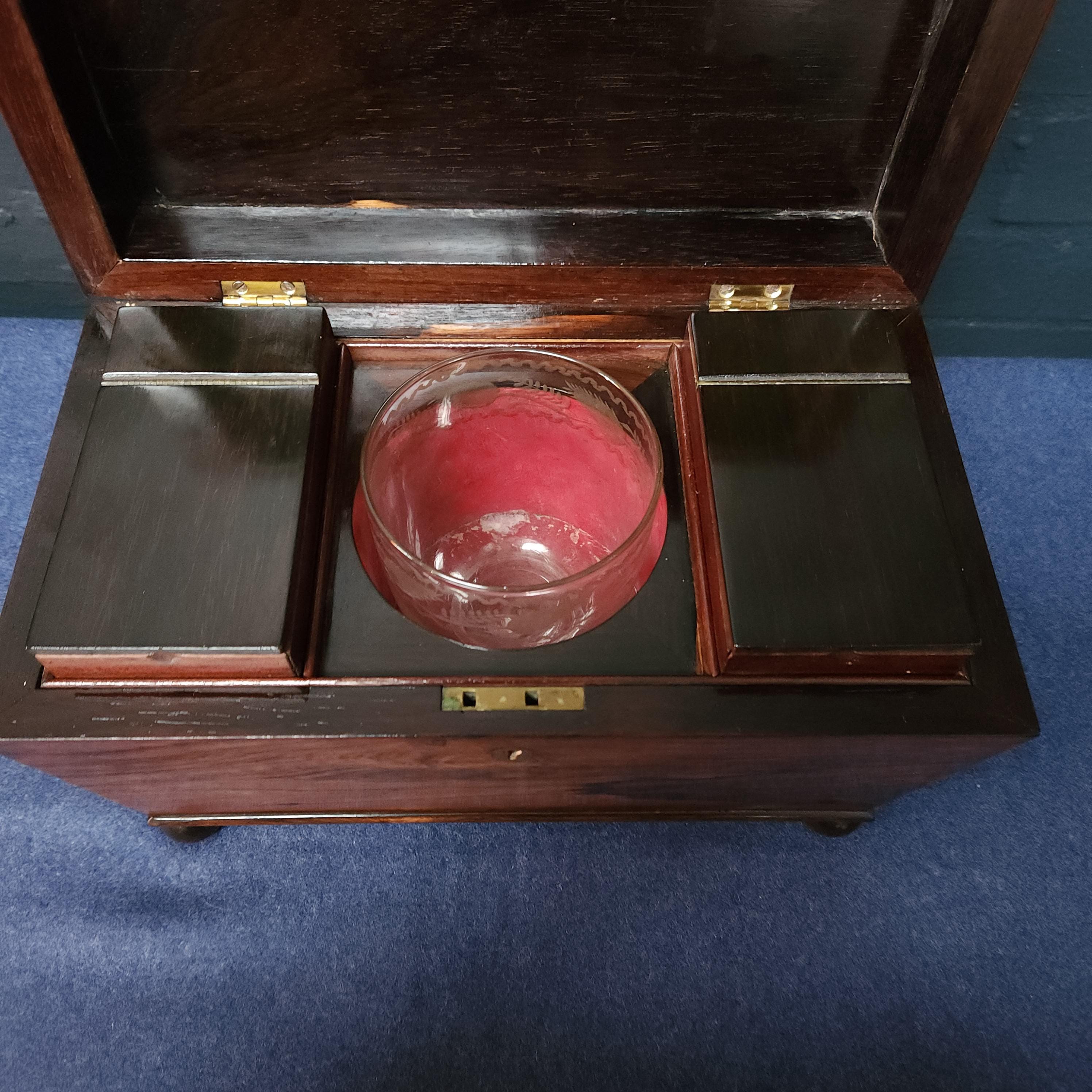 19th Century Sarcophagus Mahogany Tea Caddy