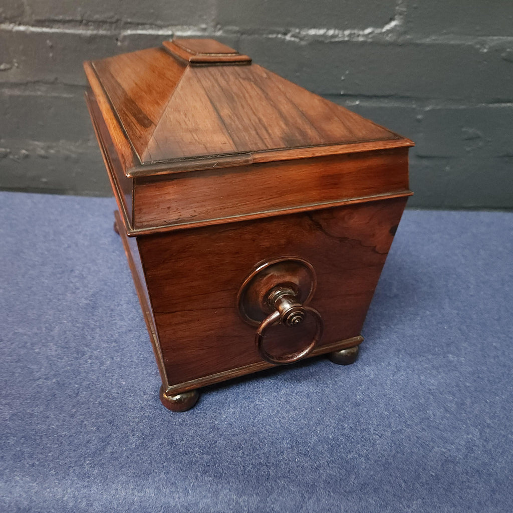 19th Century Sarcophagus Mahogany Tea Caddy