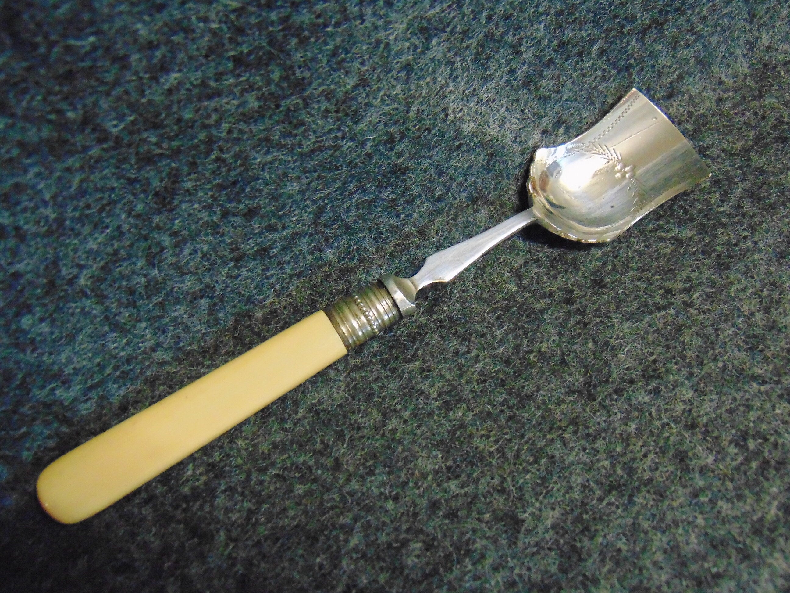 Silver Plate and Bone Handled Preserve/Jam Spoon