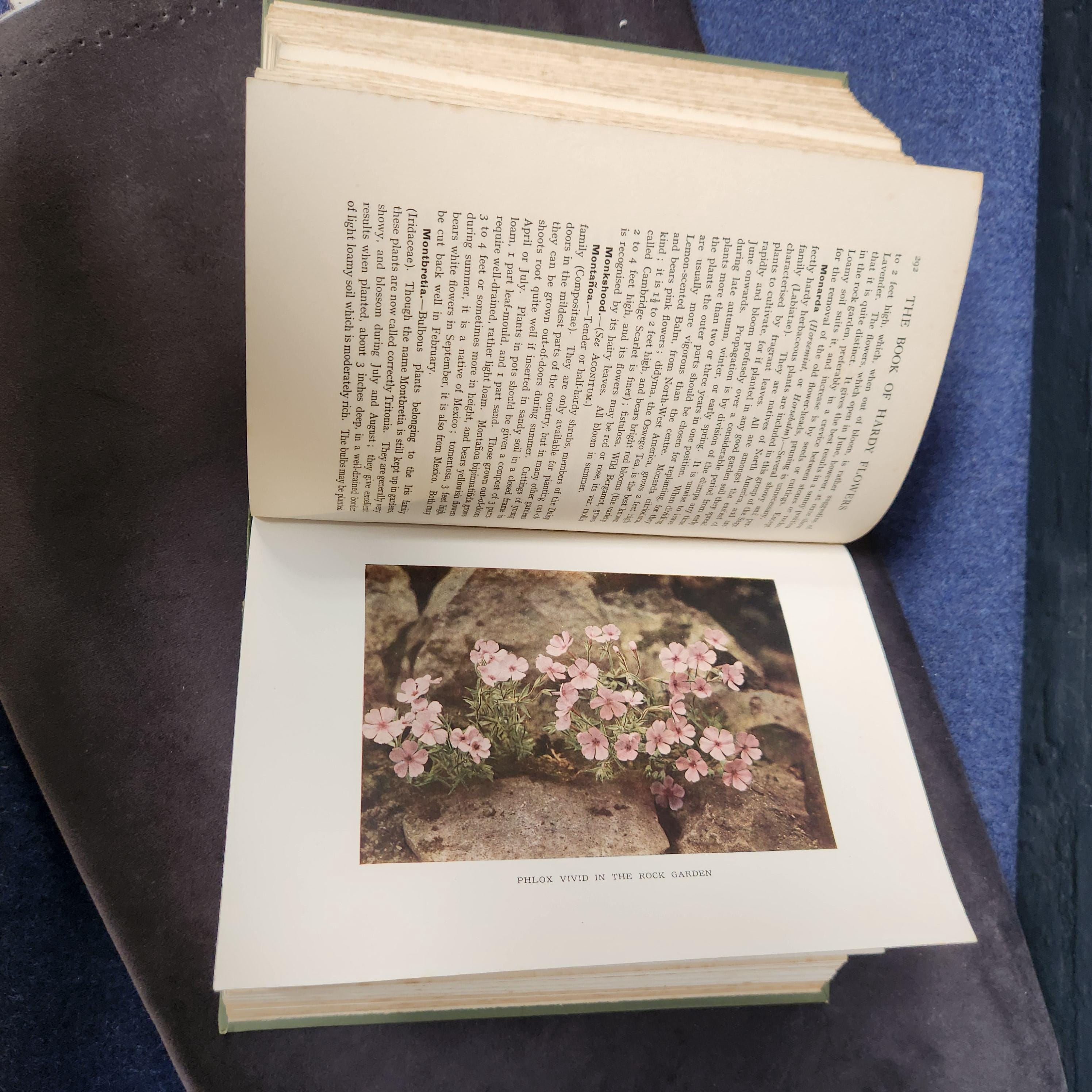 The Book of Hardy Flowers by H.H. Thomas