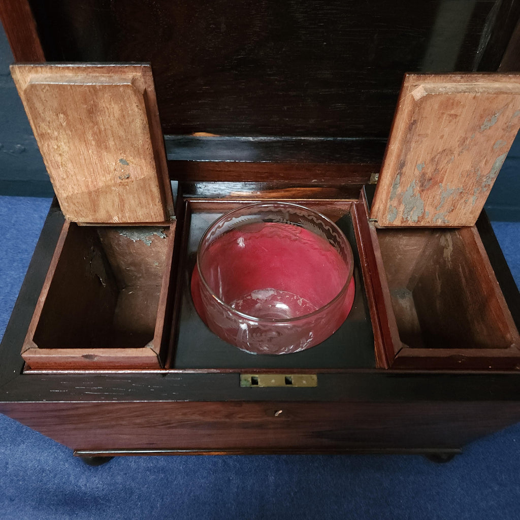 19th Century Sarcophagus Mahogany Tea Caddy