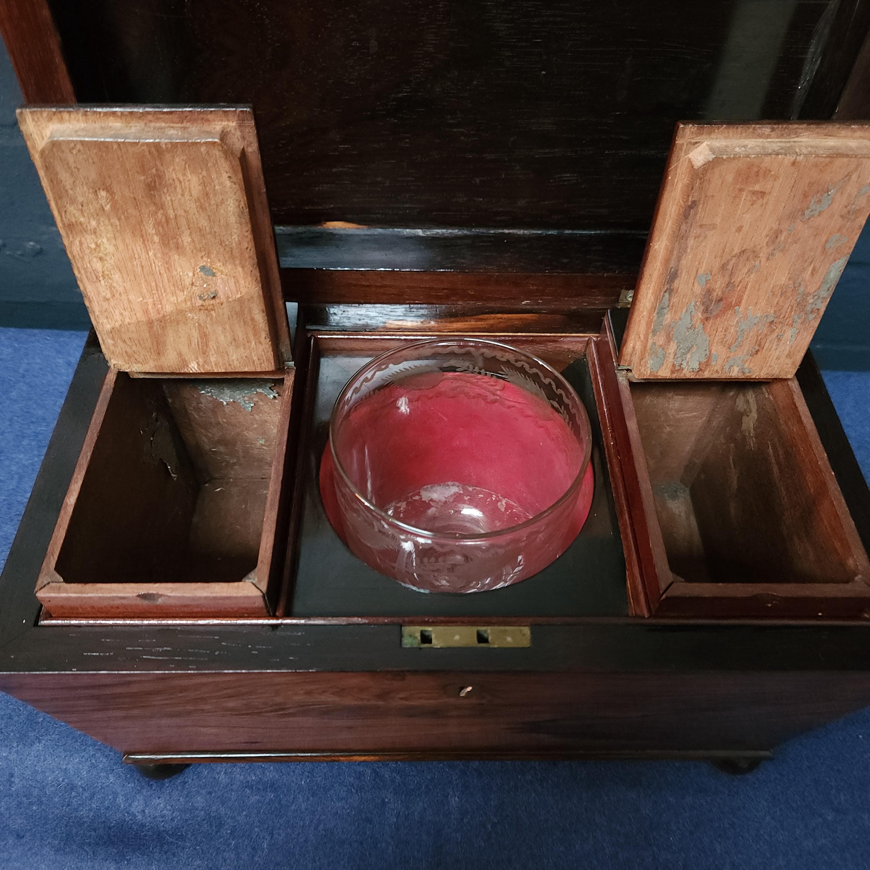 19th Century Sarcophagus Mahogany Tea Caddy