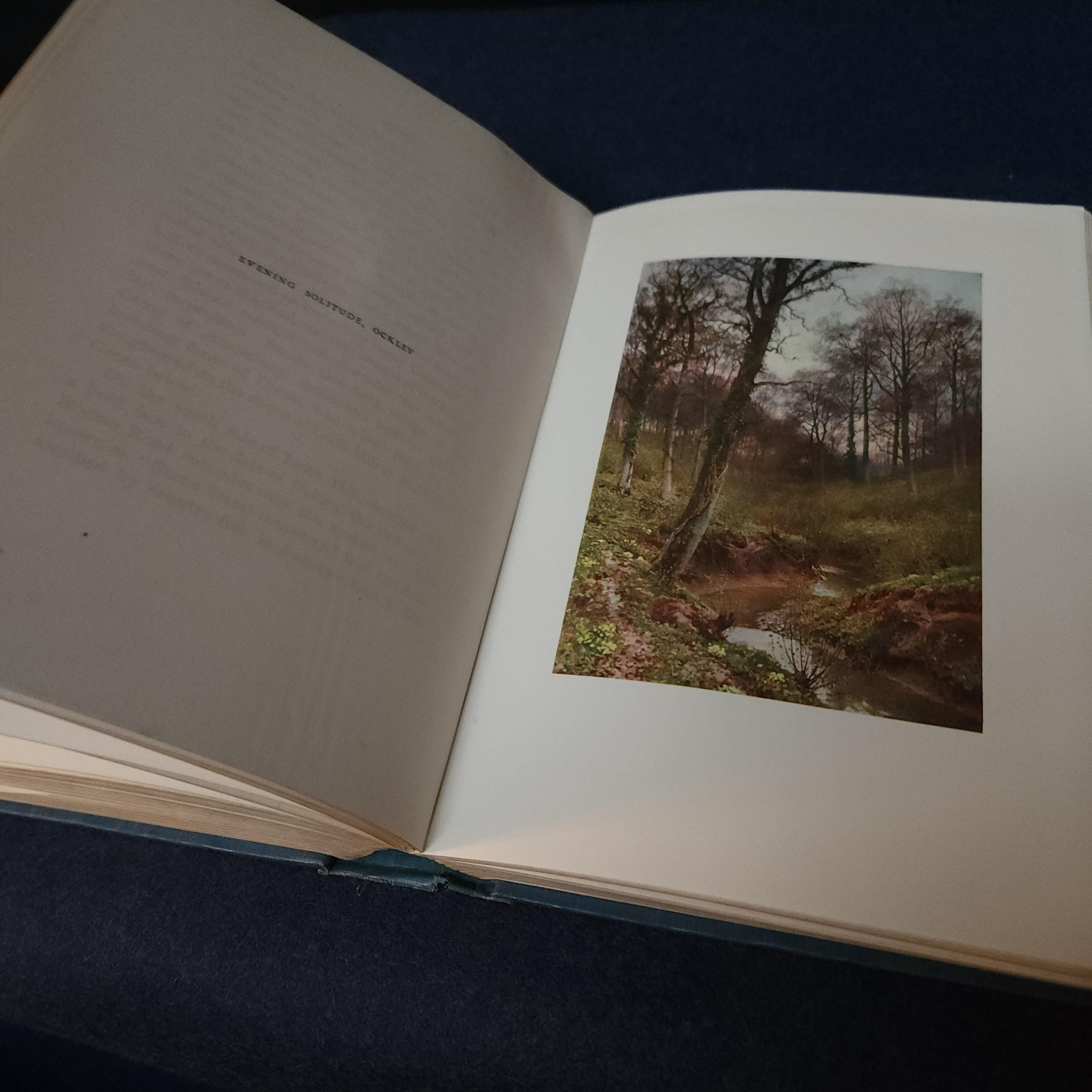 Antique Surrey Travel Book: 1912 A & C Black, Sutton Palmer Illustrations