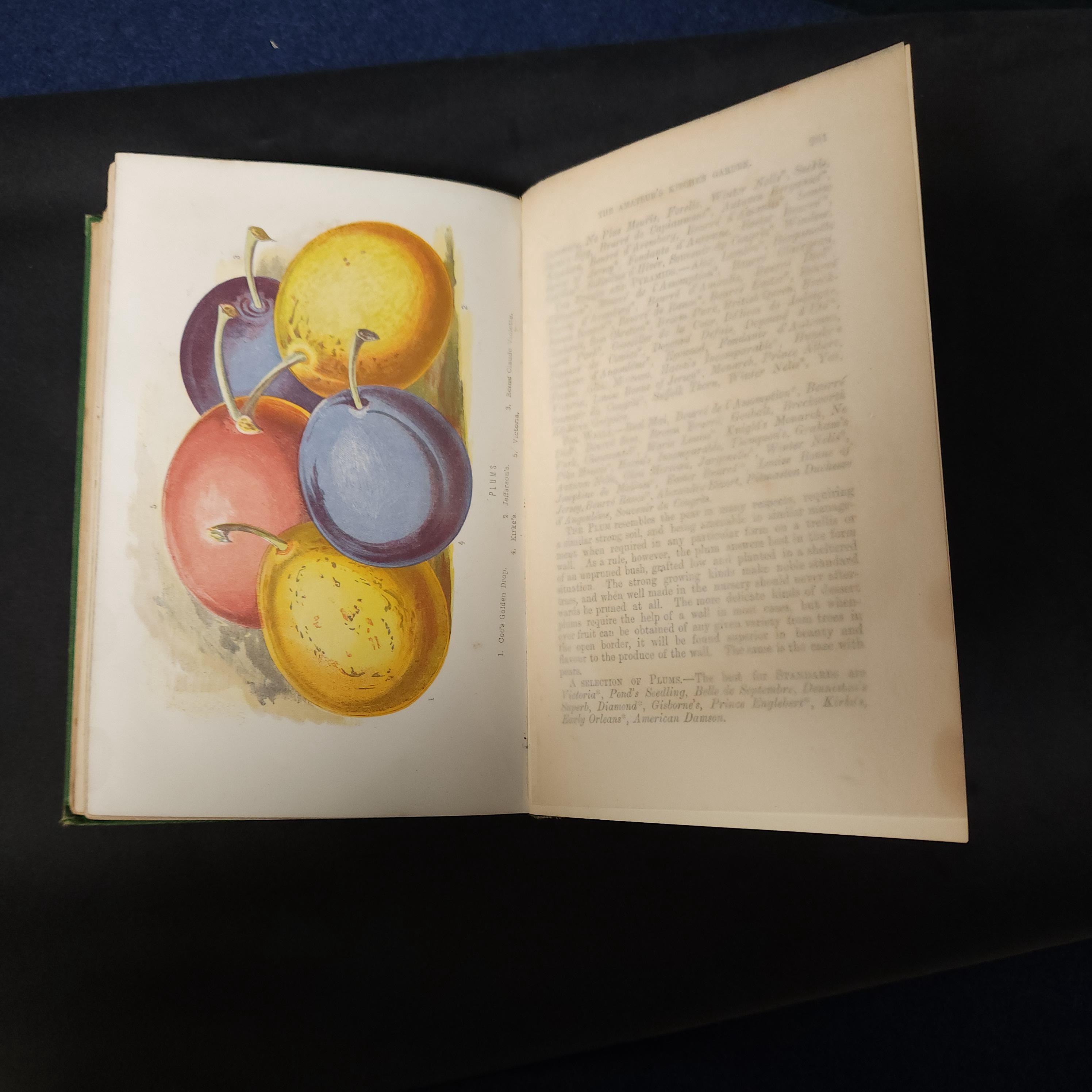 Amateurs Kitchen Garden by Shirley Hibberd