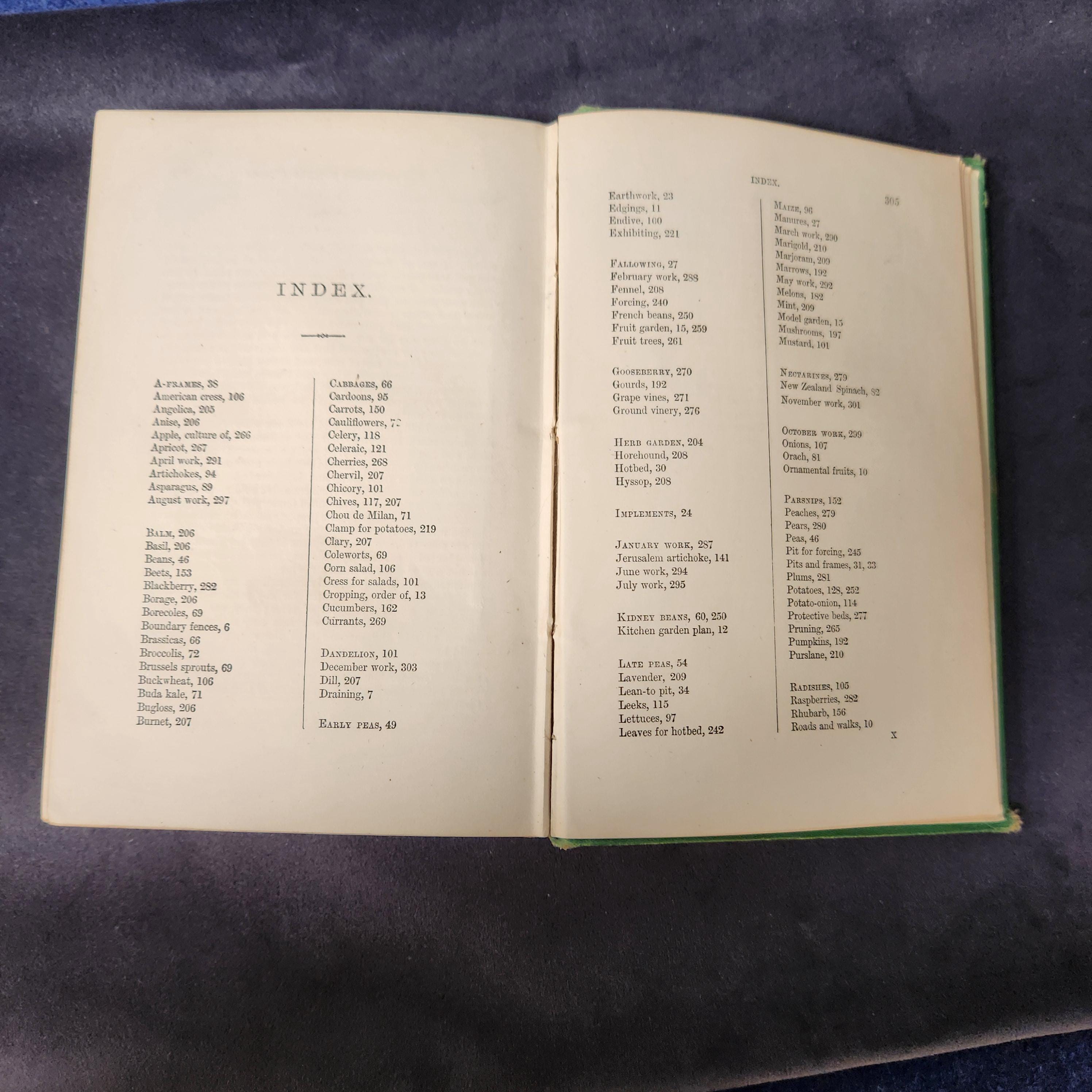 Amateurs Kitchen Garden by Shirley Hibberd