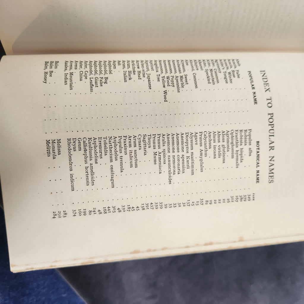 The Book of Hardy Flowers by H.H. Thomas