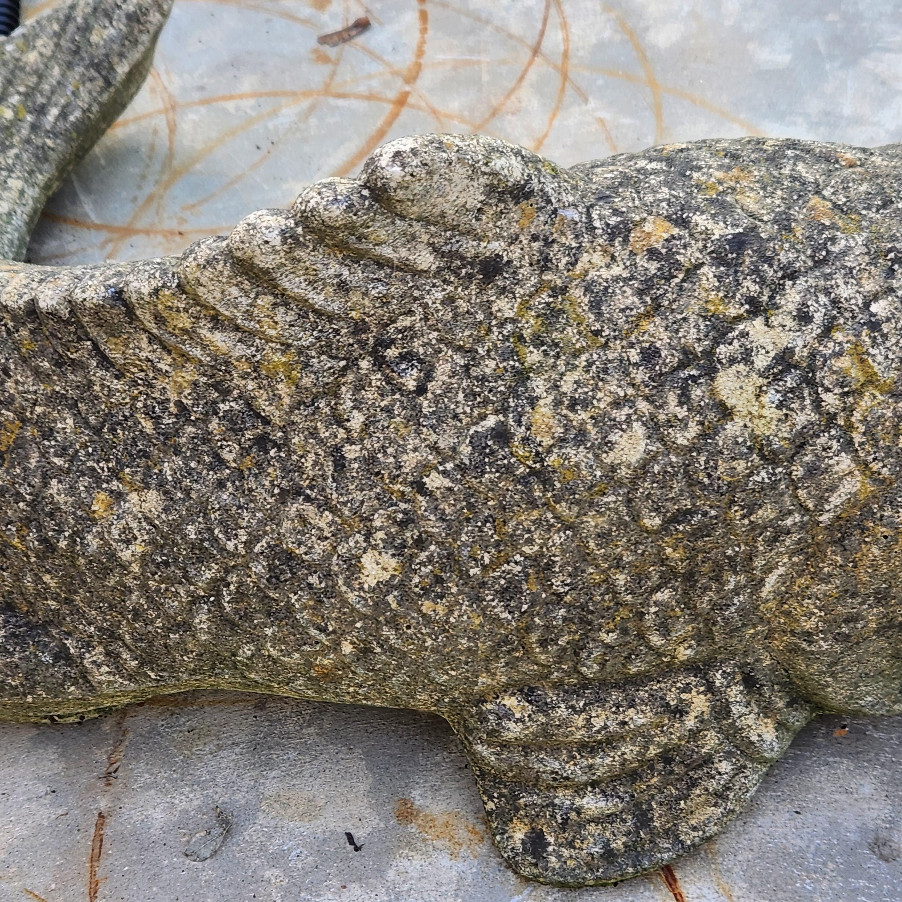 Weathered Koi Carp Water Fountain - Reconstituted Stone