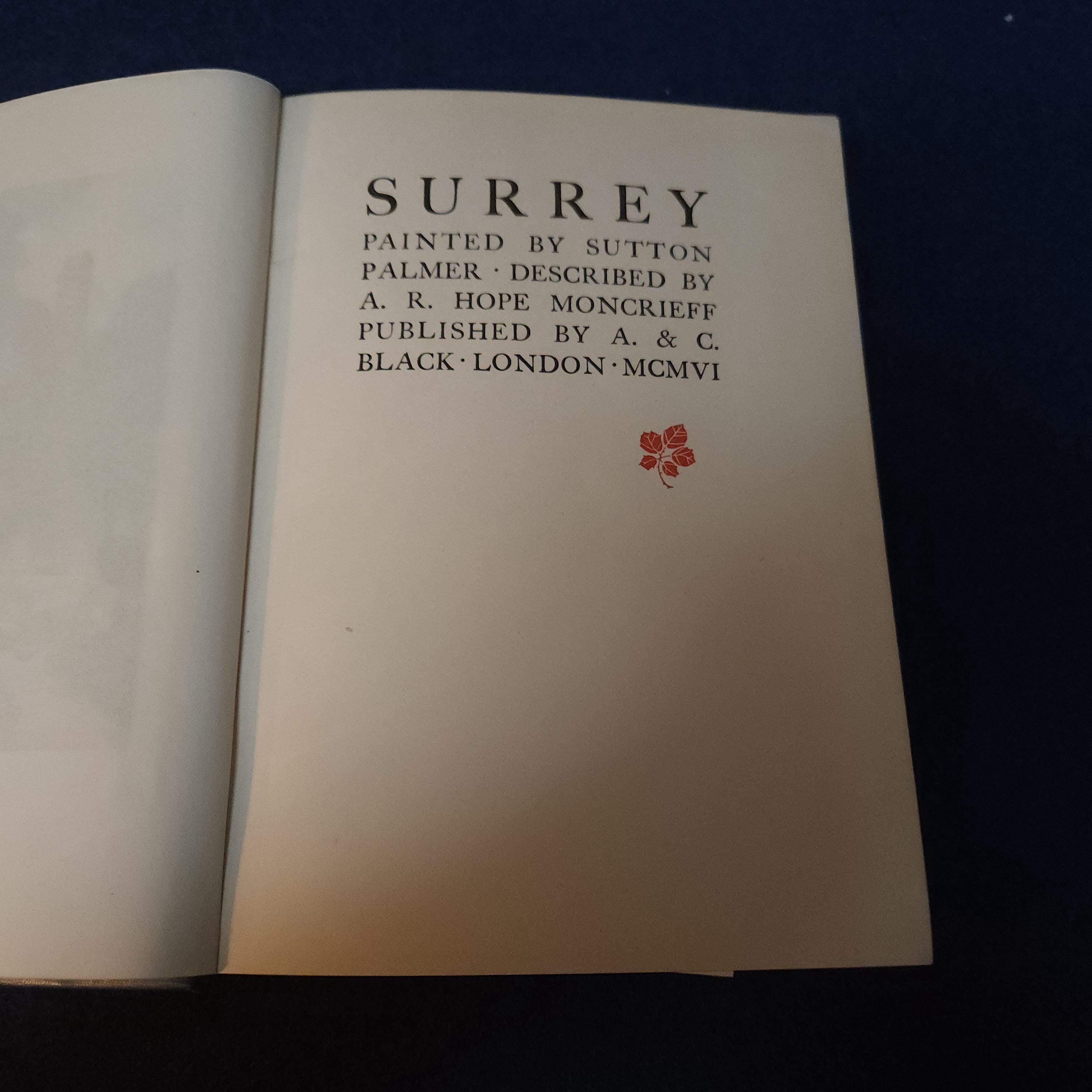 Antique Surrey Travel Book: 1912 A & C Black, Sutton Palmer Illustrations