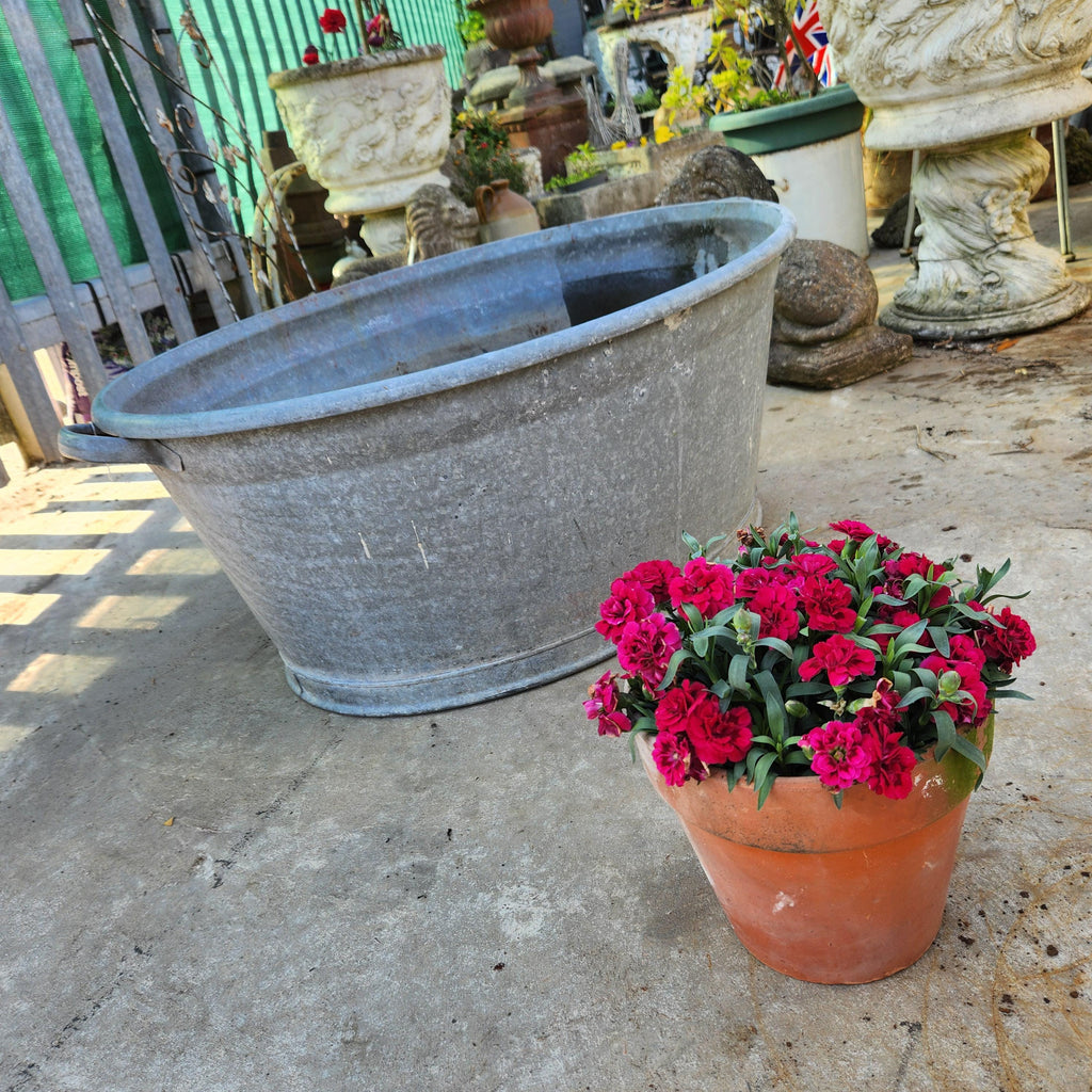 Continental Galvanised Tin Bath Planter