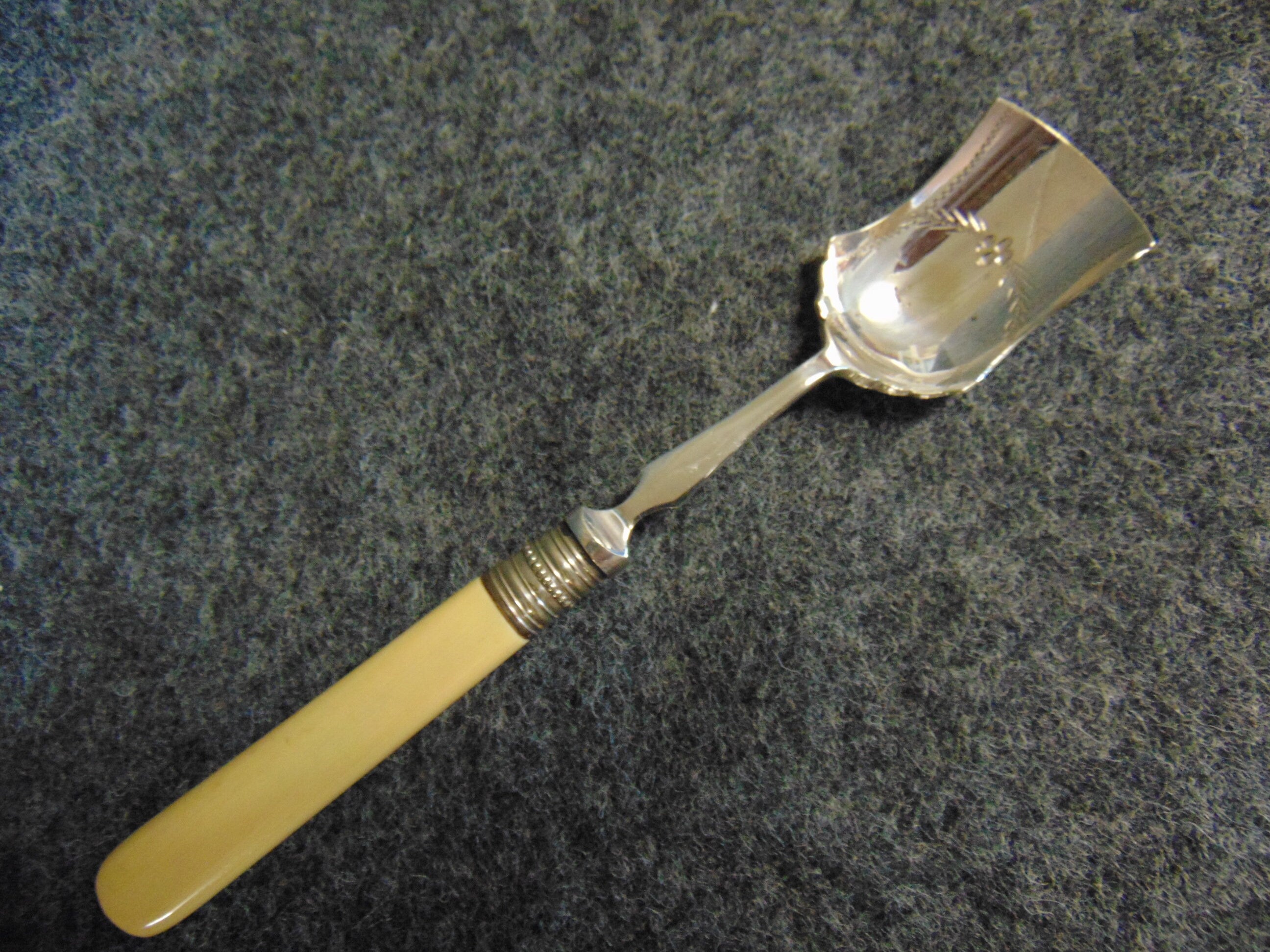 Silver Plate and Bone Handled Preserve/Jam Spoon