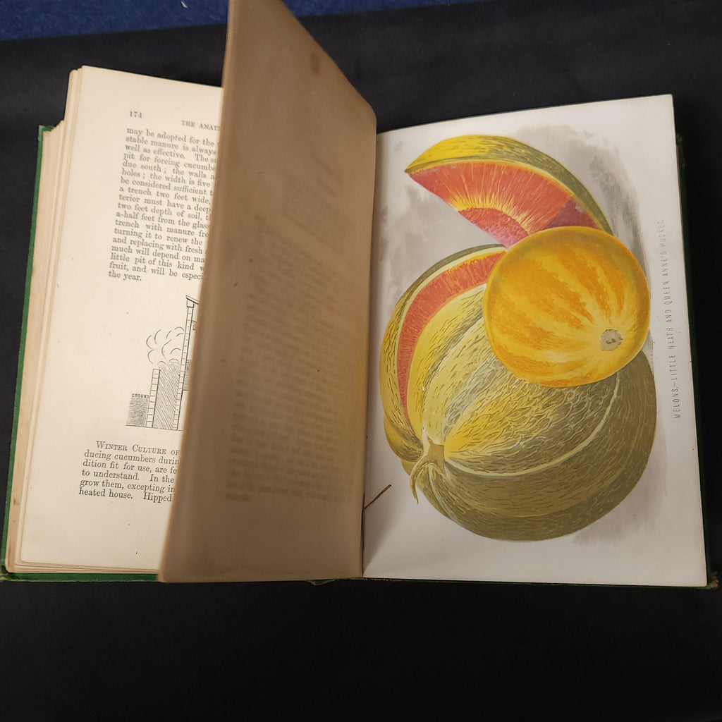 Amateurs Kitchen Garden by Shirley Hibberd