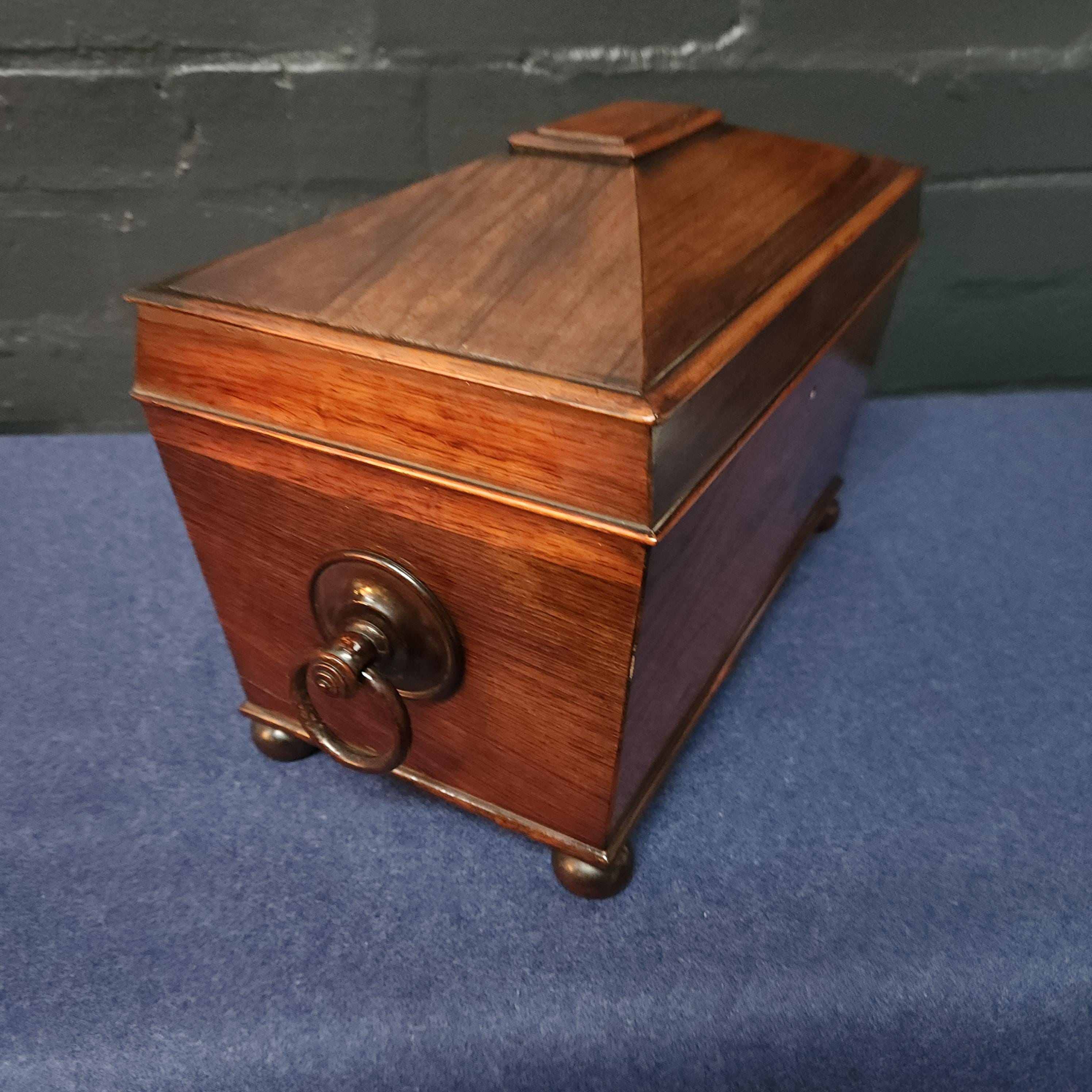 19th Century Sarcophagus Mahogany Tea Caddy