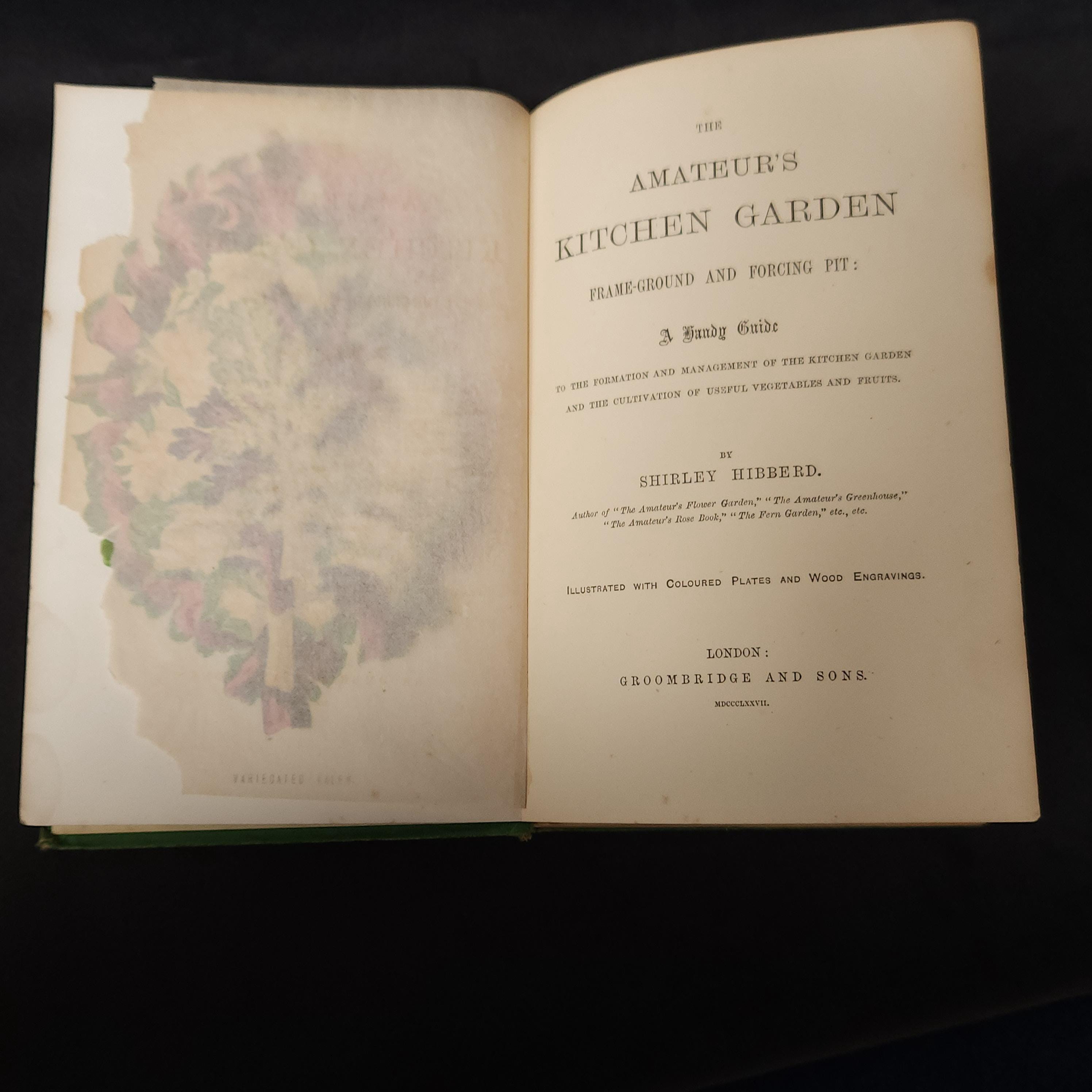 Amateurs Kitchen Garden by Shirley Hibberd