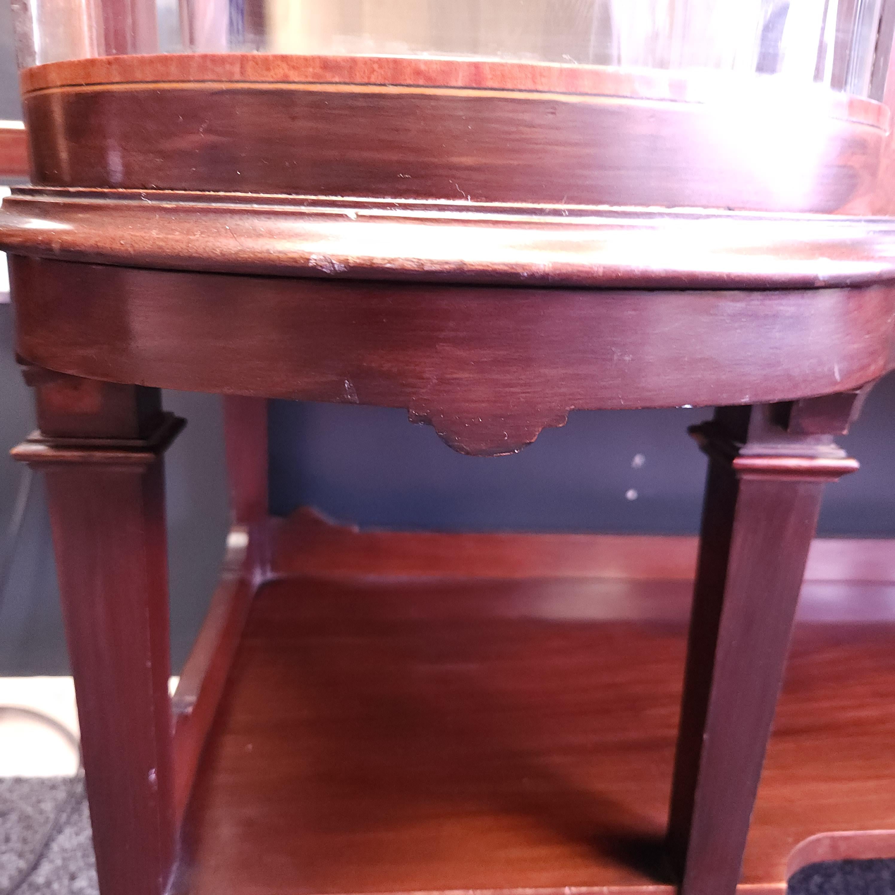 19thC Sheraton Revival Mahogany Display Cabinet