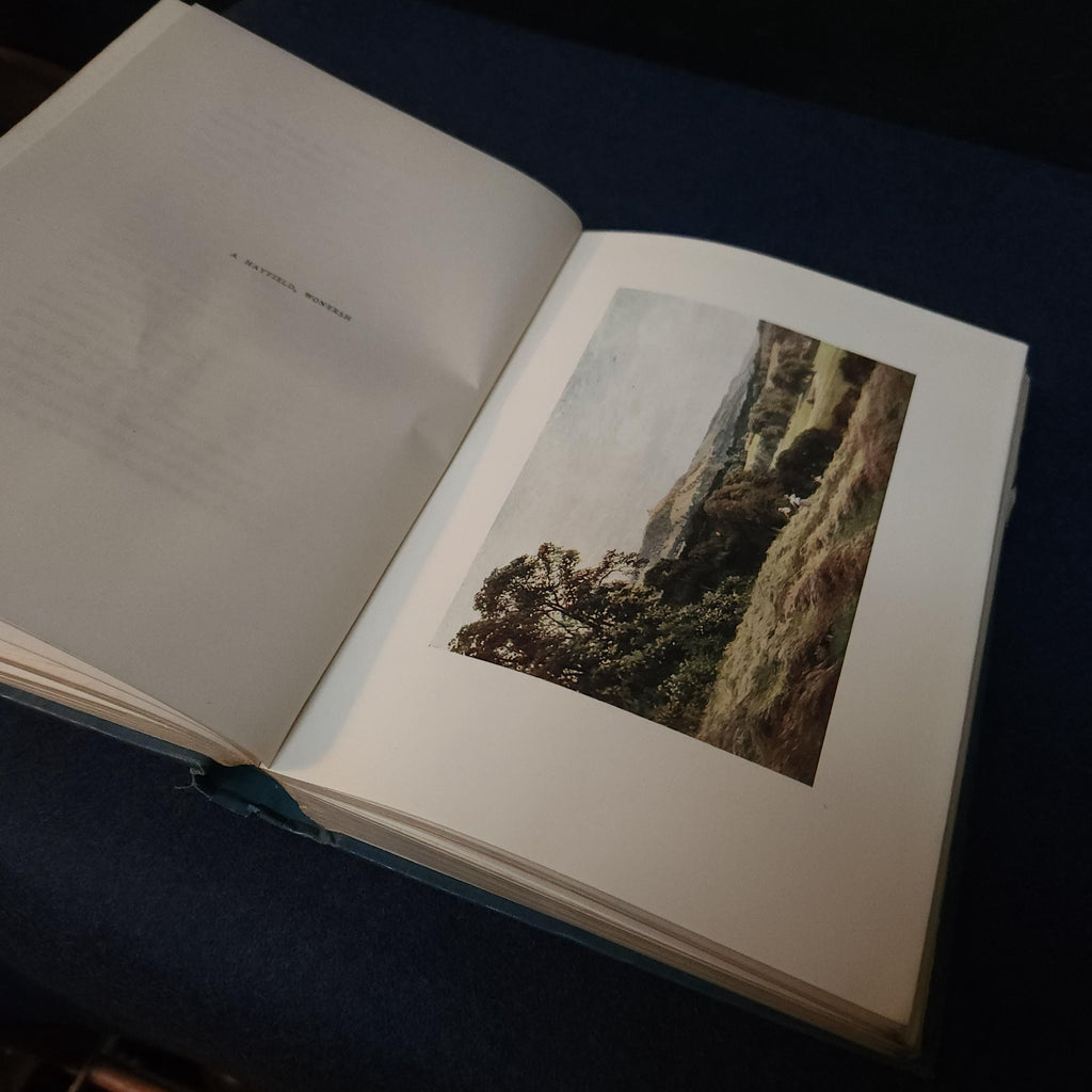 Antique Surrey Travel Book: 1912 A & C Black, Sutton Palmer Illustrations