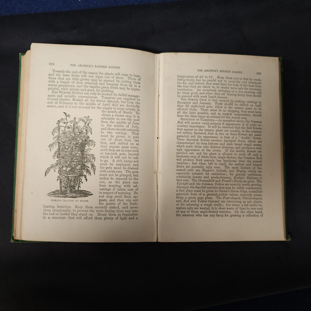 Amateurs Kitchen Garden by Shirley Hibberd