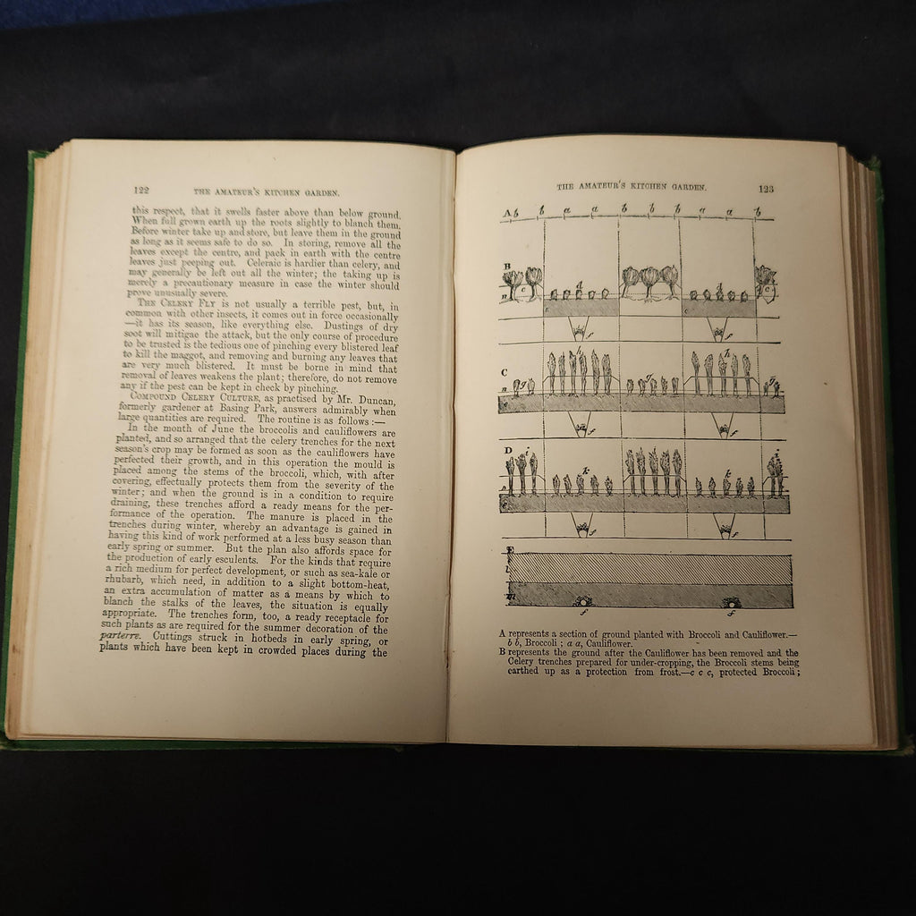 Amateurs Kitchen Garden by Shirley Hibberd