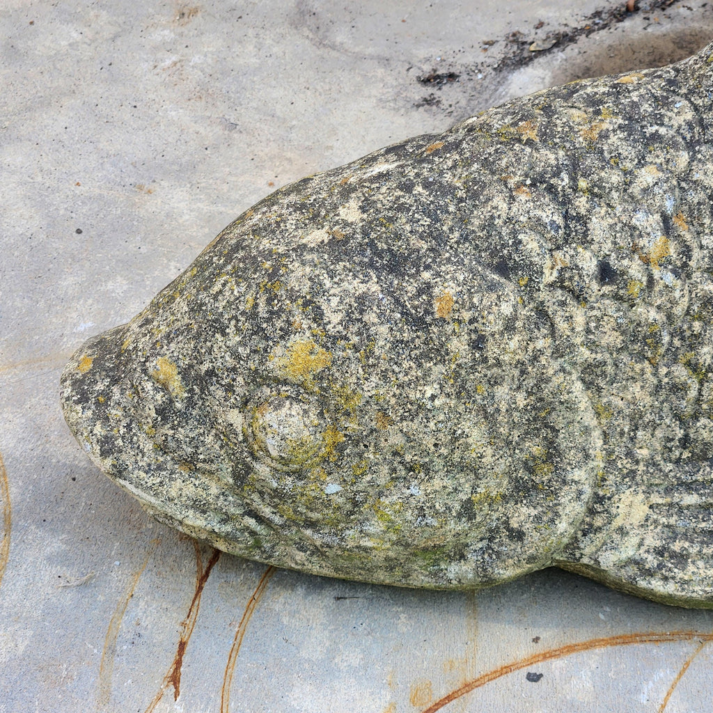 Weathered Koi Carp Water Fountain - Reconstituted Stone